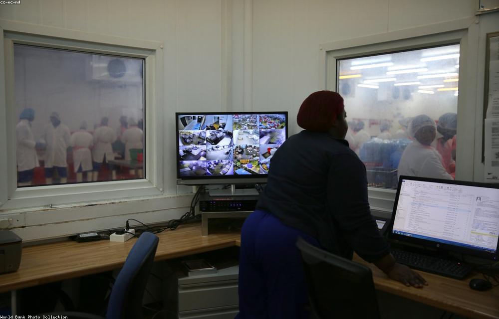 Manufacturing facility production line
